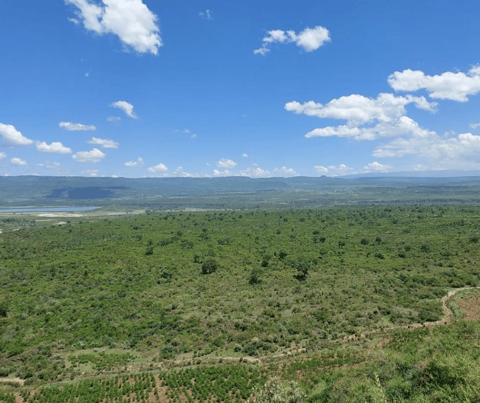 Naivasha heights