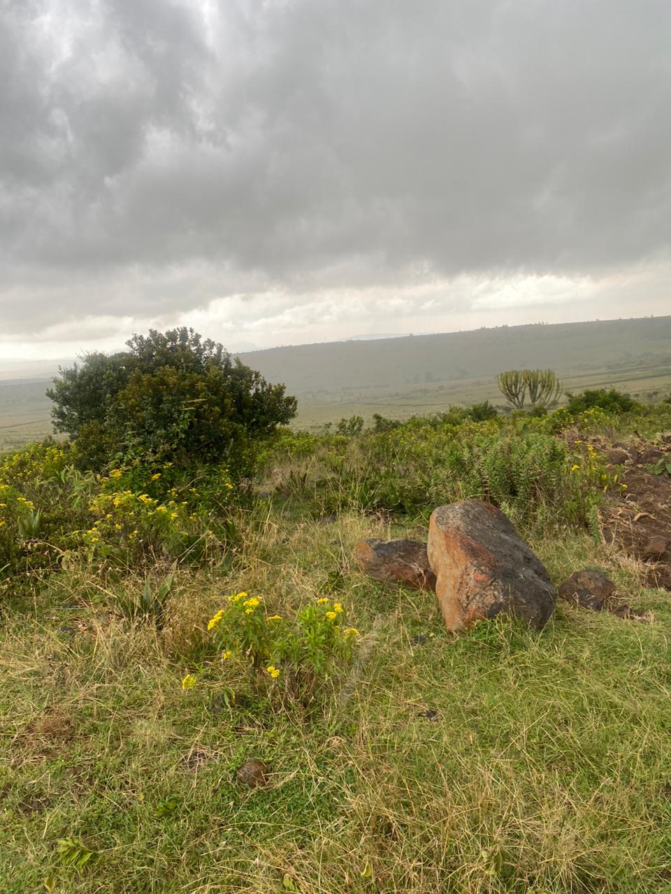 Mt. Kenya