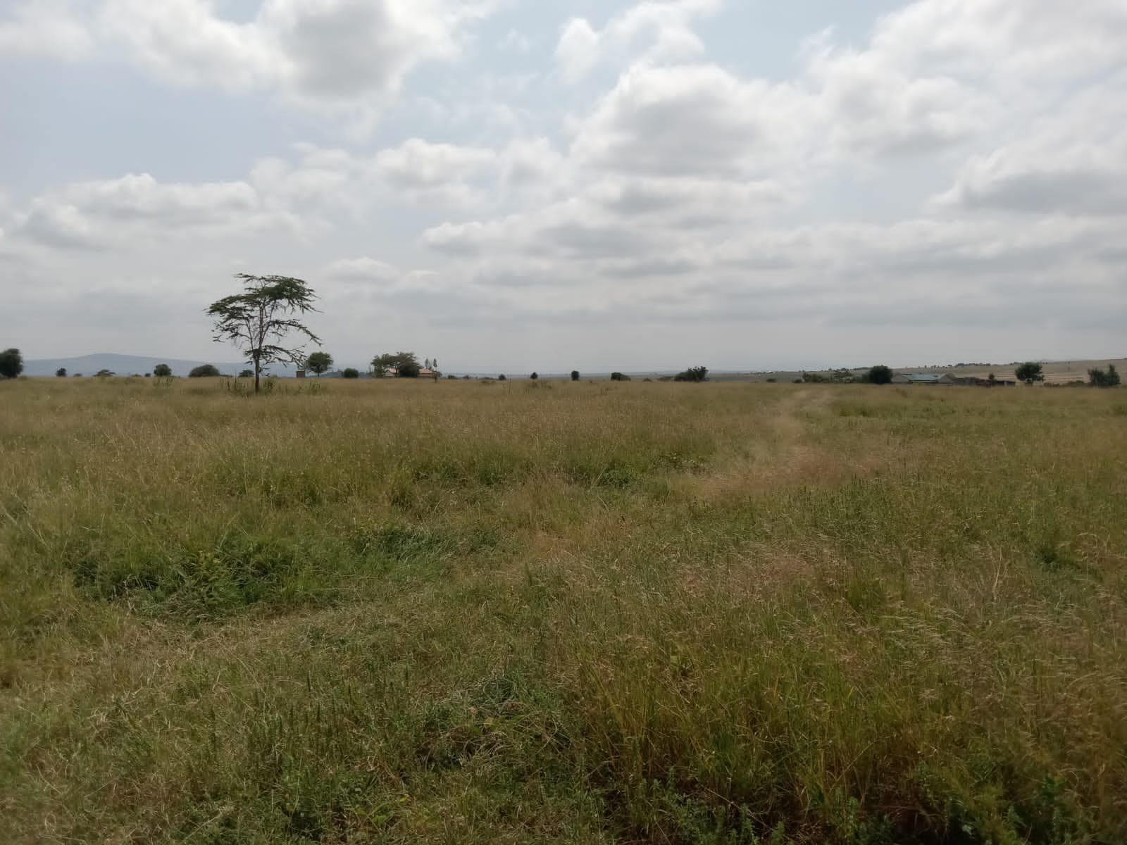 Nakuru Rongai Kabarak